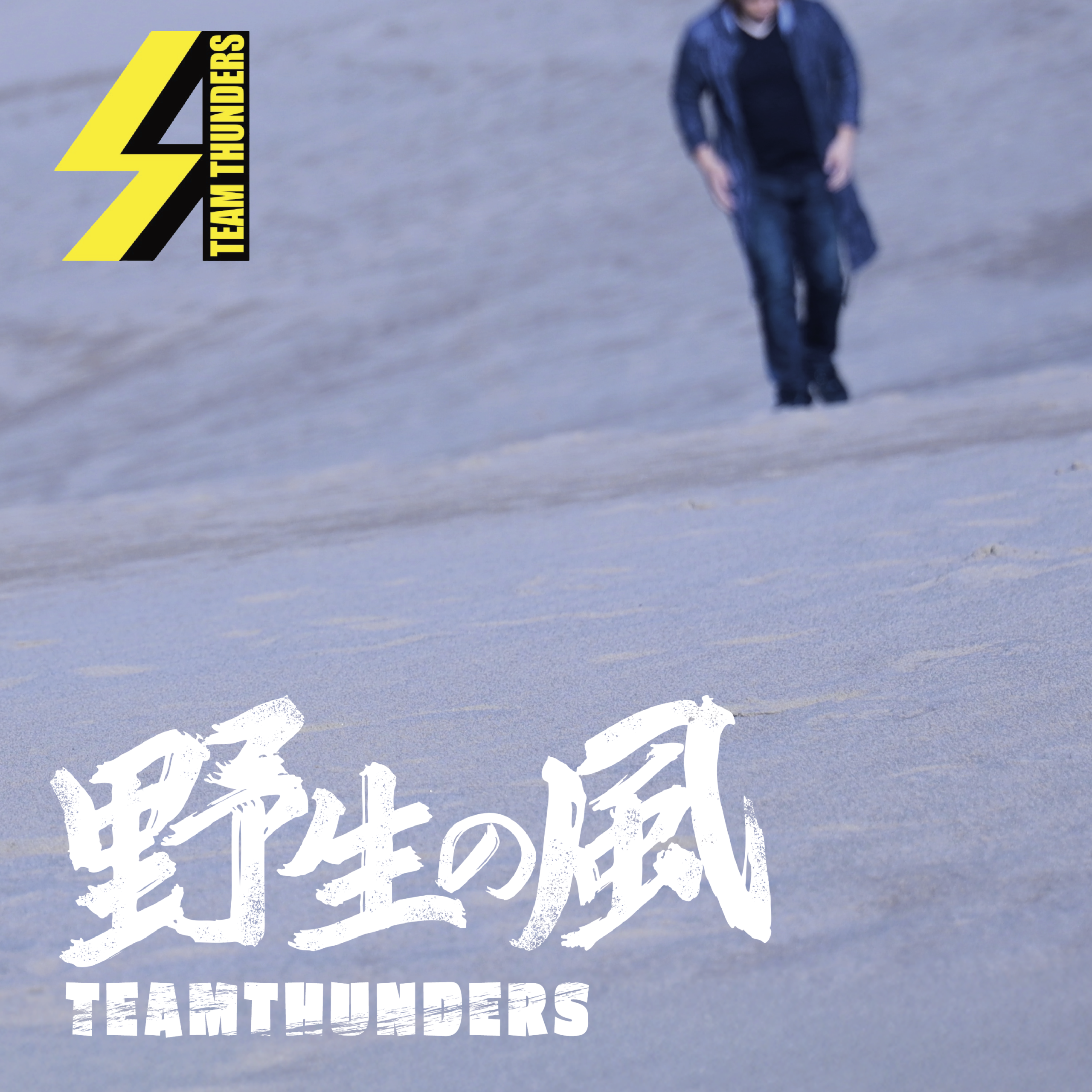 TEAMTHUNDERS 野生の風
